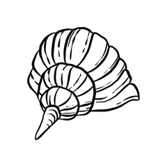 uncolored seashell illustration collection. animated nautical animal in vector graphic for creative design. aquatic object animation isolated on white background.