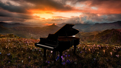 Piano In Nature