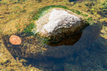Stein im Fluss teils mit Moos bedeckt