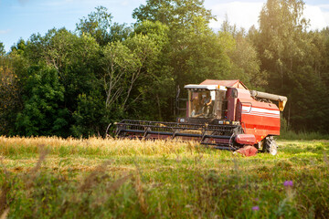 Fototapeta premium Harvester in a wheat field under the summer sun.