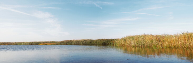 Schilf an einem Teich an der Ostsee - Nationalpark
