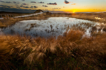 Sunset along Moshup Beach, Martha's Vineyard with view of ocean and grass blowing during late fall  