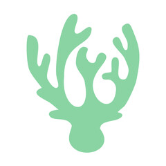 Gray green lichen on a white background