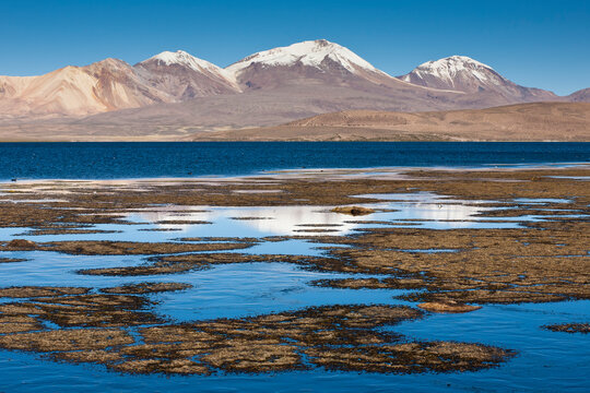 Lake Chungara in Lauca Nat Park in the northern Andes of Chile, next to Bolivia.    