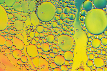 Colorful Oil And Water Abstract