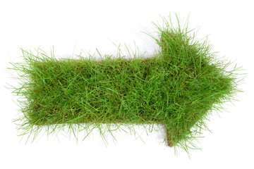 Grüner Pfeil Freisteller - Wiese freigestellt auf weiß