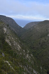 Fototapeta premium View of nature