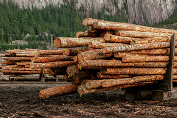 stack of logs- Canada