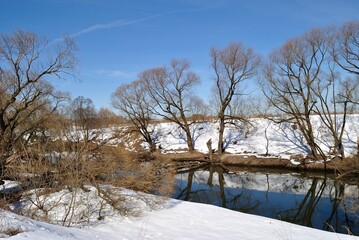 Spring walk through the forest
