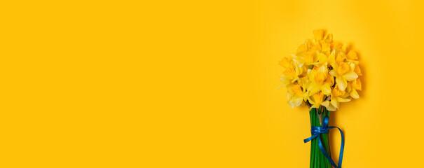 Bright yellow bouquet of daffodils on a blue background with space for text. Banner.