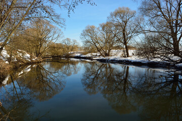 Spring walk through the forest