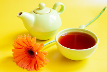 Green tea service from a teapot mug with tea and Herbera on an isolated yellow background.