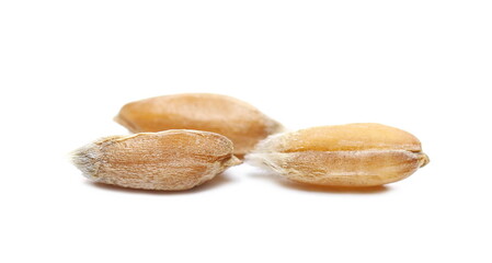 Macro spelt grain isolated on white background, side view 