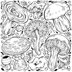 Hand-drawn black and white forest wild collection of assorted edible mushrooms, berries and herb. Can be used for menu design, label, icon, recipe, packaging, web. Botanical vector set