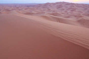 sand texture, desert with sand