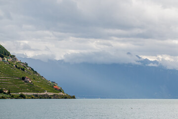 Fototapeta na wymiar Terraced farming on the shores of Lake Geneva in Switzerland