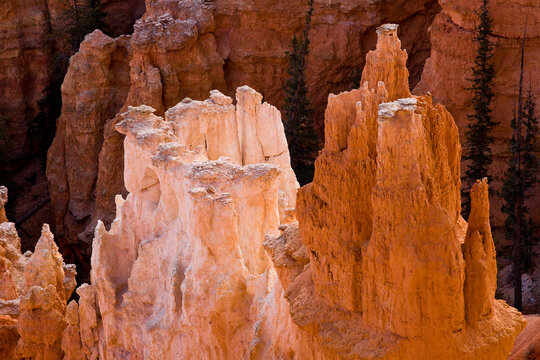 Views of the canyons and ravines from the area around Sunset  Point in Bryce Canyon National Park, Utah.        
