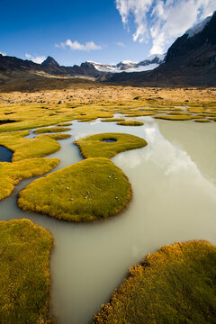 A high-altitude bog lies at the foot of Mt. Cuchillo (18,553'/5,655m) and reflects the surrounding peaks of the Apolobamba Range in Bolivia during winter.