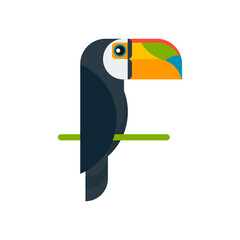 Brazilian toucan bird nature, vector illustration on white background. Icon