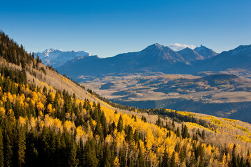 Crisp Fall air and sunshine make the Aspen trees glow in golden sunlight before sunset in the San Juan Mountains in Telluride, Colorado.    
