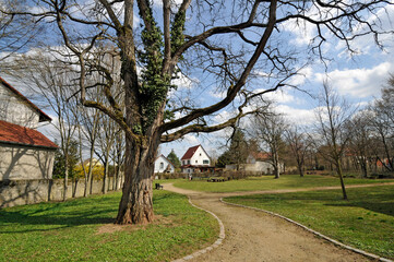 Fototapeta na wymiar kleiner park am ortsrand von westhofen