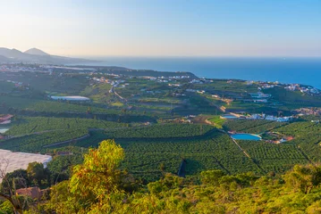 Photo sur Plexiglas les îles Canaries Sunset over Banana plantations at Gran Canaria, Canary Islands, Spain