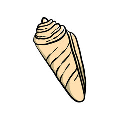 colorful seashell illustration. animated nautical animal in vector graphic for creative design. aquatic object animation isolated on white background.