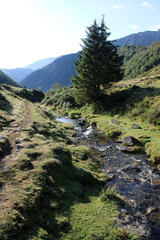 Fototapeta na wymiar Pic du Midi - Alpage