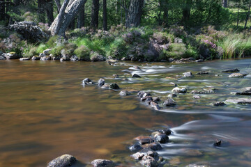 Loch Morlich near Aviemore