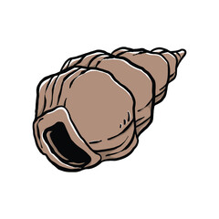 colorful seashell illustration. animated nautical animal in vector graphic for creative design. aquatic object animation isolated on white background.