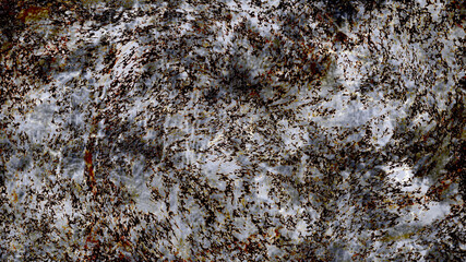 close up of a stone, Fluid paints creating texture, Background with abstract multicolored texture, marble background, colors of combining paints, macro liquid marble, wallpaper