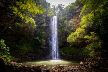 Fototapeta na wymiar Waterfall in the jungle falling into a small pond, Secret falls, Kapaa, Hawaii