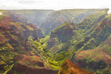 Red soil with green plants in spectacular Waimea Canyon, Kauai, Hawaii