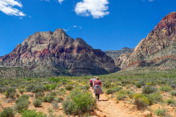 The bright colors of the mountain rocks stand out against the blue sky, white clouds and green of the desert plants here at Red Rock Canyon in Las Vegas NV.  Hikers on trail leading towards hills.