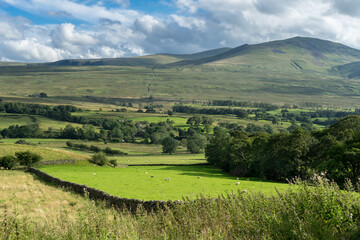 Countryside of the Lake District