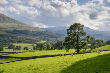 Countryside of the Lake District