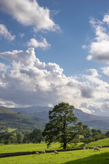 Countryside of the Lake District