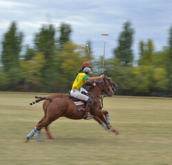 horse racing on a race