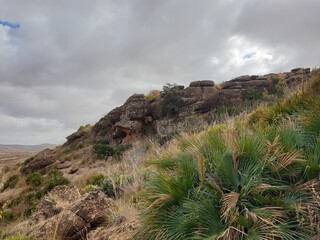 A wonderful view between the stone and trees of Algeria, Tiaret
