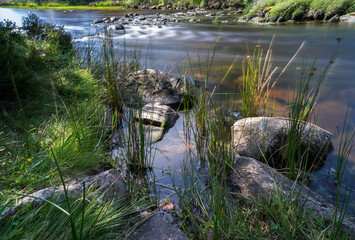 Fototapeta na wymiar Loch Morlich near Aviemore