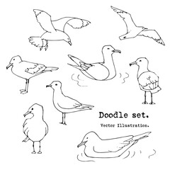 Hand drawn summer seaside print. Marine pattern in sketch style. Set of gull, seabird, flying seagull .  Isolated cartoon vector illustration set. Collection of Doodle  icons. Sea, ocean, beach, sail;