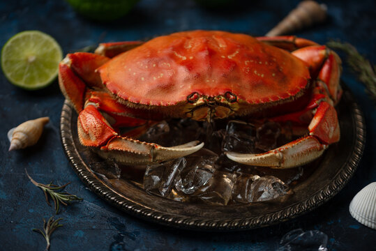 Seafood. Crab cooked on a blue background, with mojito and limes.