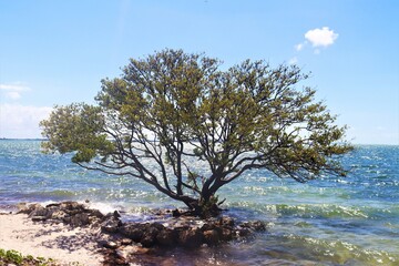 Key Biscayne - FL
By Rio