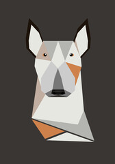 Dog. Breed of dogs. Bull terrier. Geometric illustration