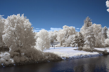 Infrared view of the park