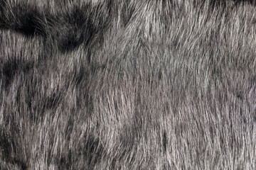 Close up of a gray sheepskin rug, carpet fur. Light gray abstract background. Selective Focus