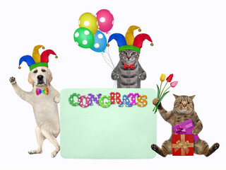 Pets clowns in holiday hats with balloons is near a green blank poster. Congrats. White background. Isolated.