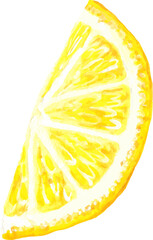 Watercolor clipart lemon slices isolated on white background