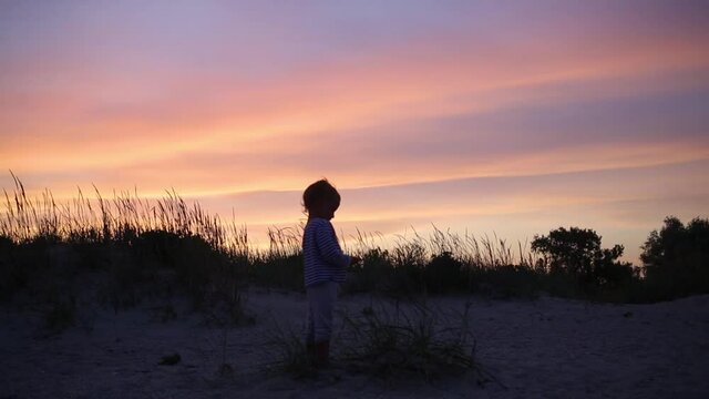 Silhouette of little boy stand at dramatic purple sunset sky background in striped shirt and play with long grass