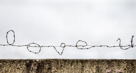 'Love u' written using barbed wire against a gray sky.